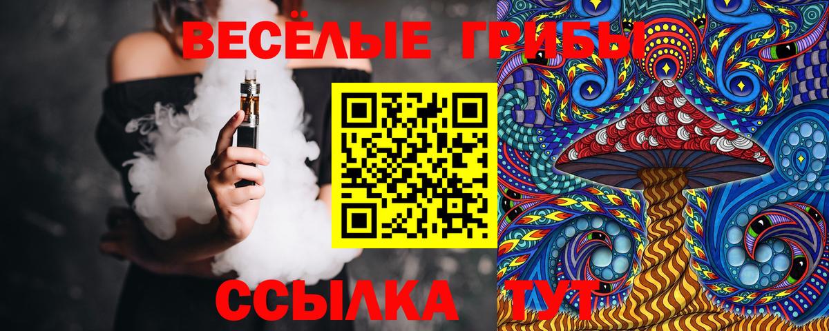 Сокол  Псилоцибиновые грибы прущие грибы  Вход с VPN  Галлюциногенные грибы Magic Shrooms 
