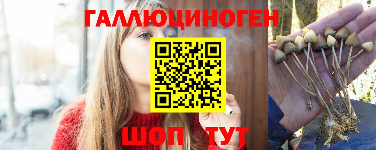Псилоцибиновые грибы Magic Shrooms Сокол